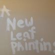 Photo #7: New Leaf Painting. Honest Painter/ Painting