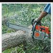 Photo #1: Tree service & land cleaning stump grinder