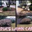 Photo #5: Tapia's lawn care - mulch installation