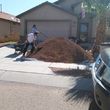 Photo #7: Need some help cleaning your yard?