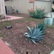 Photo #11: Landscaping and Yard Services. I offer great work for a great price!
