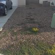 Photo #4: Landscaping and Yard Services. I offer great work for a great price!