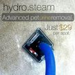 Photo #4: Hydro Steam Cleaning