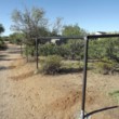 Photo #18: WT Fencing LLC. Dog runs, chain link, wooden fence and more!