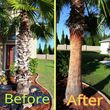 Photo #5: Landscaping & Lawn Care