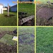 Photo #2: Landscaping & Lawn Care