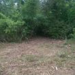 Photo #4: Land Clearing and Mulching Services