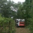 Photo #3: Land Clearing and Mulching Services