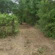 Photo #2: Land Clearing and Mulching Services