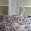 Photo #4: Floors Removal.