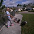 Photo #1: AFFORDABLE Pet Sitting + Hunters Creek and Kissimmee/Disney