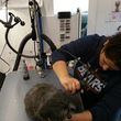 Photo #4: A day at the spa for your fur babies. Mobile dog Groomer