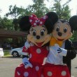 Photo #6: Cartoon characters for kids birthdays entertainers for parties