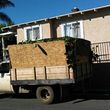 Photo #1: Hauling / yard cleanup /tree's service