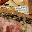 Photo #1: Termites!!! Call H&R For Free Termite Inspection!!