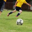 Photo #1: Private Professional Soccer Lessons