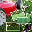 Photo #1: Rubens Lawncare :) reasonable prices