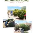 Photo #4: Milla's Landscaping & Maintenance Service