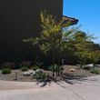 Photo #12: ANE Landscaping