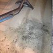 Photo #5: Carpet steam cleaner $20