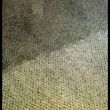 Photo #4: Carpet steam cleaner $20
