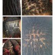 Photo #1: Specials! Sew-ins! Kids braids! Crochet!
