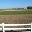 Photo #8: Sunny Meadow Farm. Horse boarding