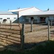 Photo #11: Sunny Meadow Farm. Horse boarding