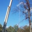 Photo #1: Storm Damage. Free estimates. Unbeatable Prices! Dave's Tree & Lawn
