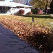 Photo #1: Gutter & Leaves Clean Up. Call Gary!