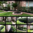 Photo #7: Tapia's Landscaping & Lawn Care Services