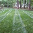 Photo #16: The Lawn Chaser (Quality Lawn and Leaf Clean Up Services)