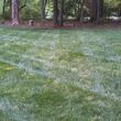 Photo #15: The Lawn Chaser (Quality Lawn and Leaf Clean Up Services)
