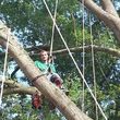 Photo #7: Combs' tree service. FREE ESTIMATES