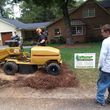 Photo #2: Combs' tree service. FREE ESTIMATES