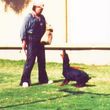Photo #1: AZTEC DOG TRAINING AND PUPPY BOOTCAMP