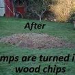 Photo #6: Denton's STUMP GRINDING AND REMOVAL