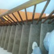 Photo #24: RESIDENTIAL AND APARTMENT CARPET INSTALLATION, sales!!!