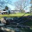 Photo #3: 10% off special!! GREAT DANE TREE EXPERTS, LLC