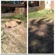 Photo #1: Affordable Tree services and Stump Grinding