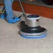 Photo #7: Carpet Cleaning - cat and dog urine, fecesetc. Low prices! 26 years