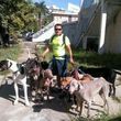 Photo #6: Dog walking. Pet Sitting. Pet Waste Removal. Grooming...