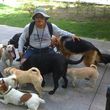 Photo #9: Dog walking. Pet Sitting. Pet Waste Removal. Grooming...