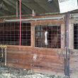 Photo #5: Quiet Horse Boarding Facility ~ Full & Self Care!
