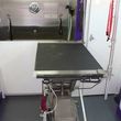 Photo #9: MOBILE PET SALON. BLACK DOG GROOMING. YOUR PET WILL LOOK & SMELL GREAT!