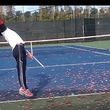 Photo #2: Private Tennis lesson by USPTA Professional