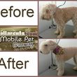 Photo #4: Collar Cuts Mobile Pet Grooming, We come to you!