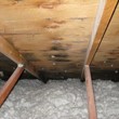 Photo #20: ROOFING / LEAKS / RE - ROOFS / MAINTENANCE