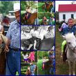 Photo #1: Pony Rides and Farm Petting Zoo ~ We come to you!