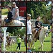 Photo #10: Pony Rides and Farm Petting Zoo ~ We come to you!